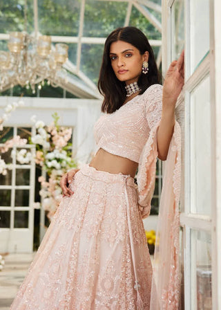 Eden pink embroidered lehenga set