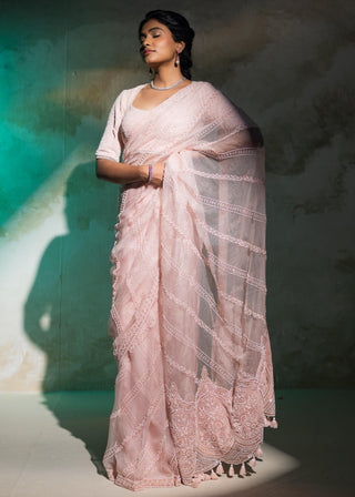 Peach embroidered tone on tone saree set