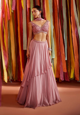 Mauve biased panel lehenga set