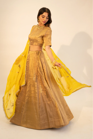 Beige zari tissue gold lehenga & blouse paired with yellow dupatta