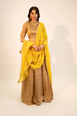 Beige zari tissue gold lehenga & blouse paired with yellow dupatta